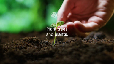 Ile tlenu potrafi wyprodukować siedem drzew? Sadź rośliny w trosce o czyste powietrze