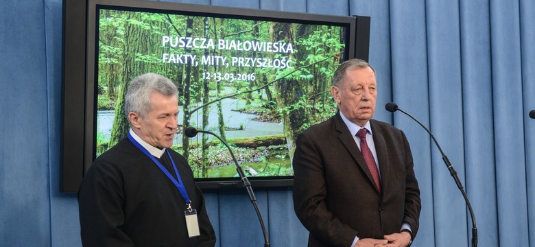 Konferencja w sprawie Puszczy Białowieskiej. Czy minister zgodzi się na wycinkę chronionego lasu?