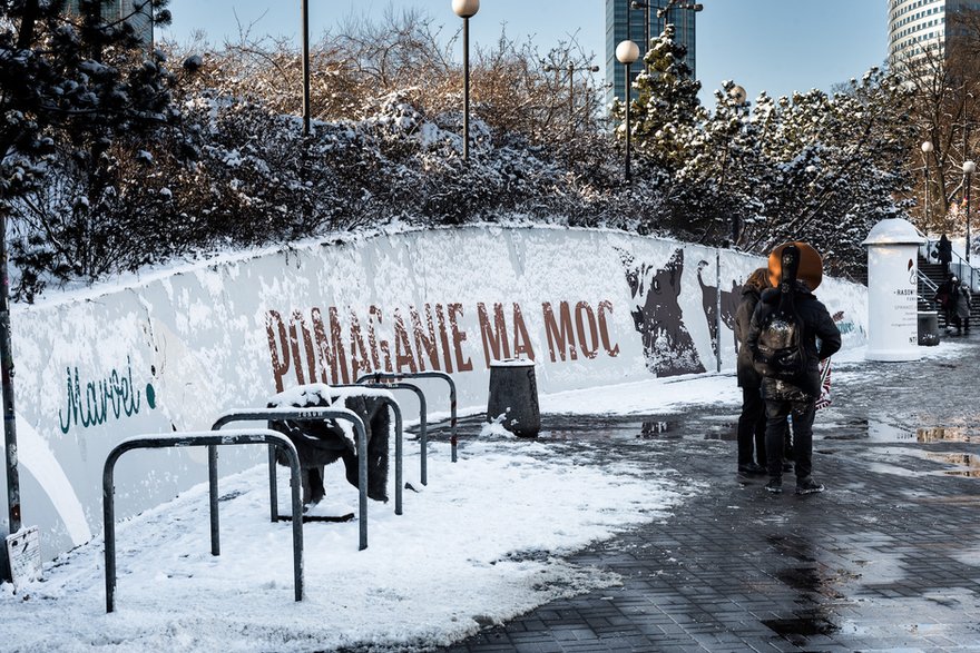 Rasowy Kundel. Charytatywny mural powstał w centrum Warszawy!