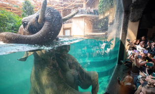 Orientarium Łódź. Kawałek Azji w centrum Polski