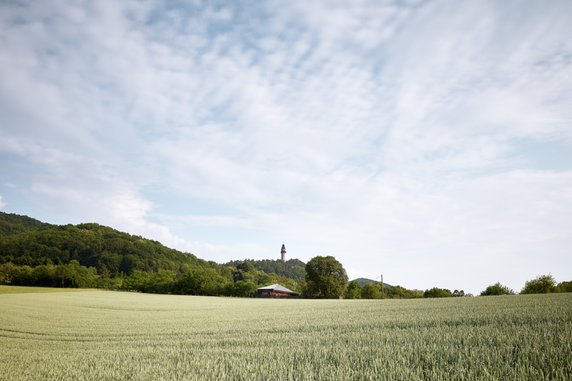 Drewniany dom letniskowy. W środku jest bardzo oszczędnie