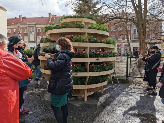 Gdańsk: ustawili ogród w kształcie kuli. W środku rosną owoce i kwiaty
