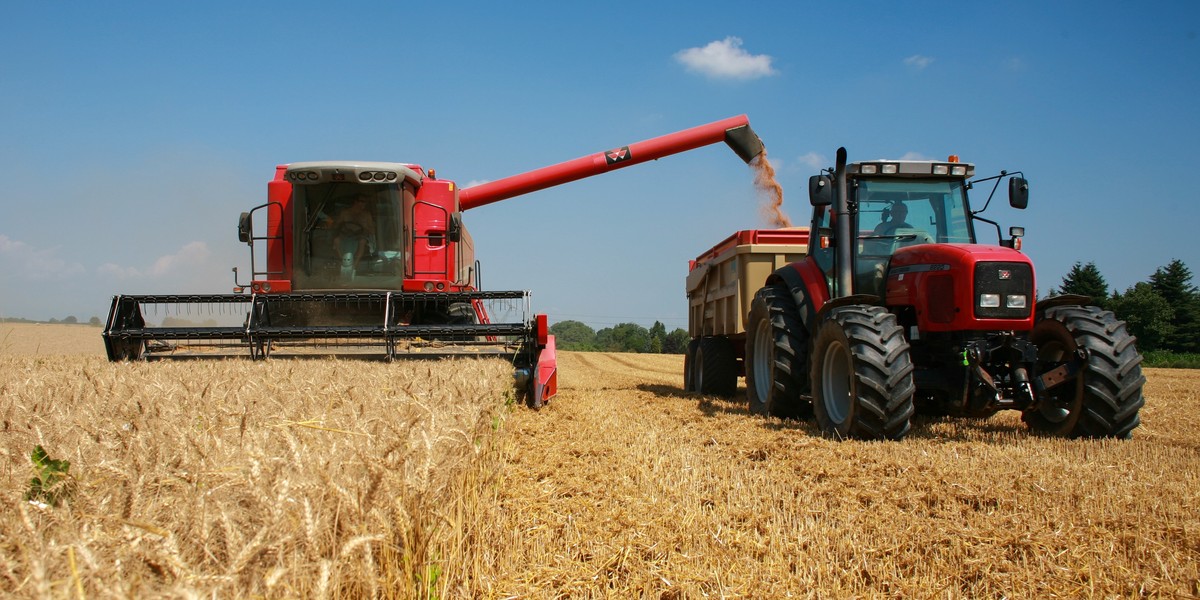 Traktor i bizon na polu