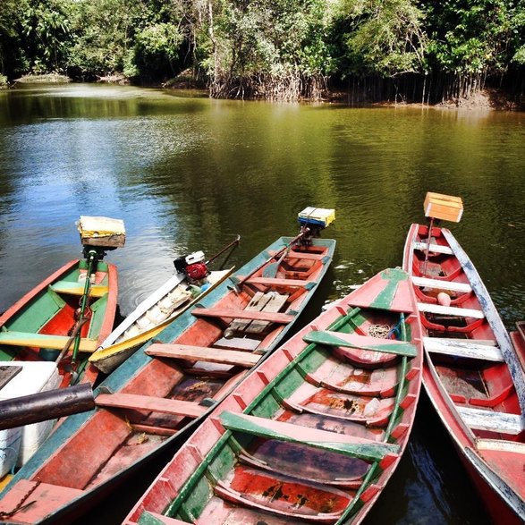 Amazonia - Brazylia