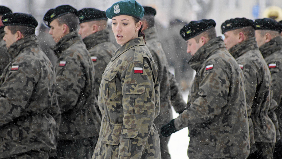 Powstanie w końcu mieszana, polsko-litewsko-ukraińska brygada. Po odsunięciu od władzy Wiktora Janukowycza prace nad jej utworzeniem ruszyły z kopyta.