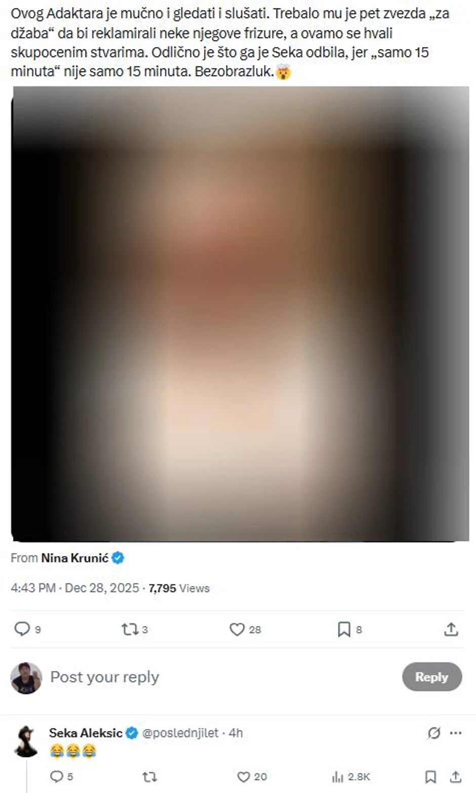 Seka Aleksić, komentar