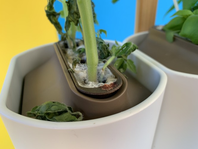 Prêt à Pousser: Schimmliger Indoor-Garten im Test | TechStage