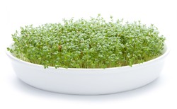 Rzeżucha dobra dla palaczy. Odtruwa organizm