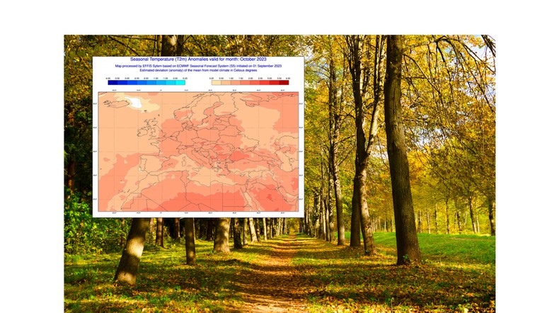 Według prognoz bardzo ciepły ma być również październik (mapa: EFFIS)