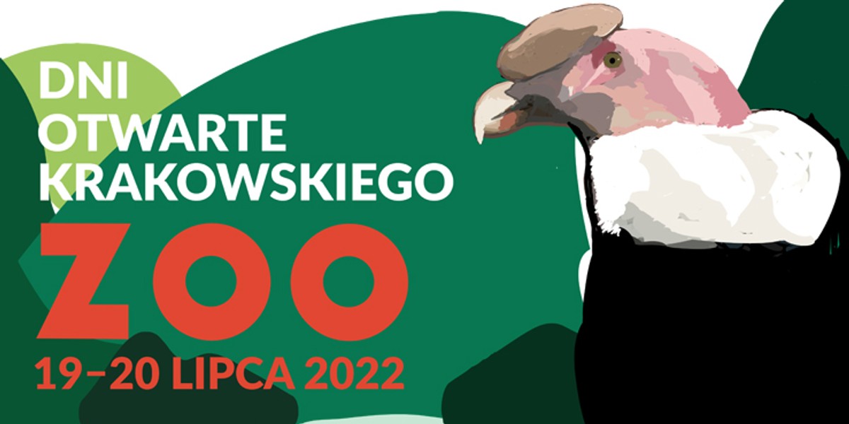 W krakowskim zoo podczas Dni Otwartych czeka na gości cała masa atrakcji