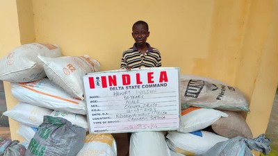 Intercepted drugs by the NDLEA operatives.