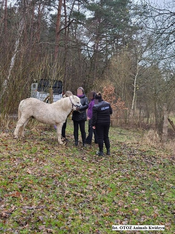 Zwierzę było brudne i zaniedbane