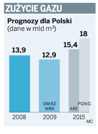 Rząd przy zakupie gazu zignorował własne prognozy