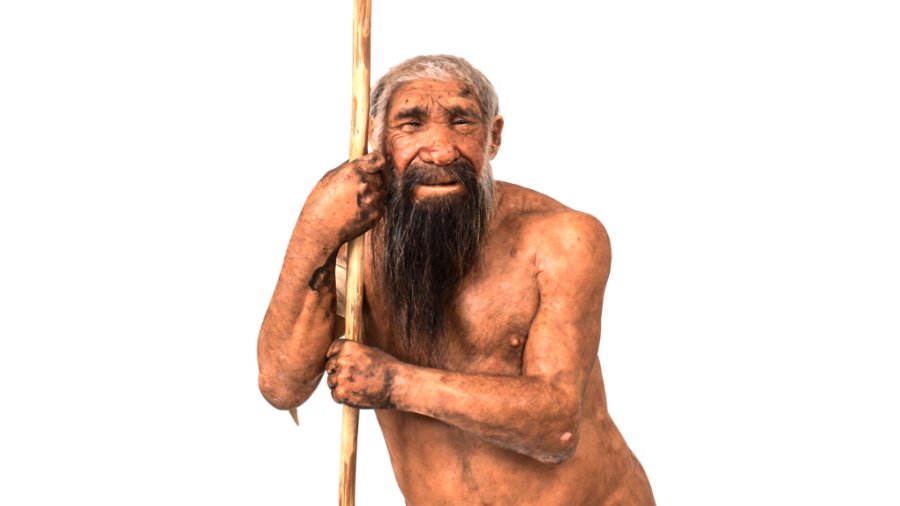 Nie wojny a krzyżowanie się z Homo sapiens mogło doprowadzić do wyginięcia neandertalczyków, fot. MUSE, CC BY-SA 3.0, via Wikimedia Commons