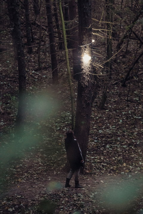 Lampy Huby oświetliły Park Leśny w Gdyni. Energię czerpią ze słońca