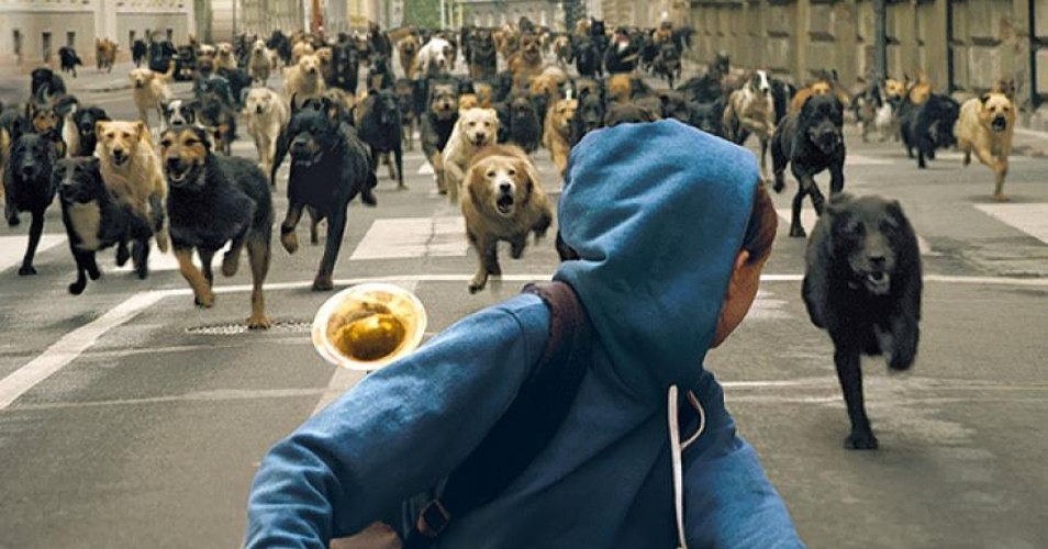 6. 'Biały bóg' (reż. Kornél Mundruczó)