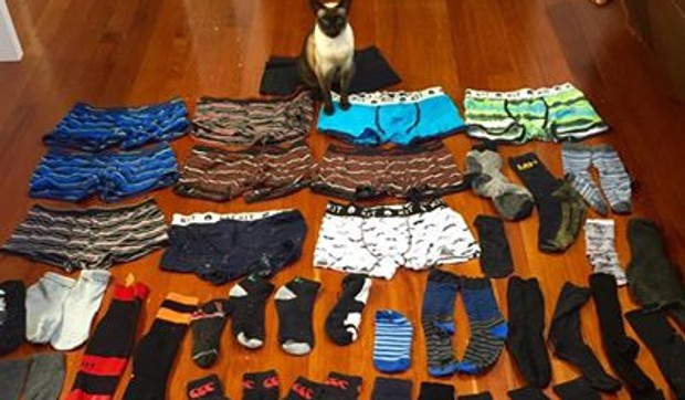 macka foto printskrin