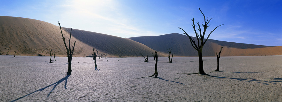 Dead Vlei