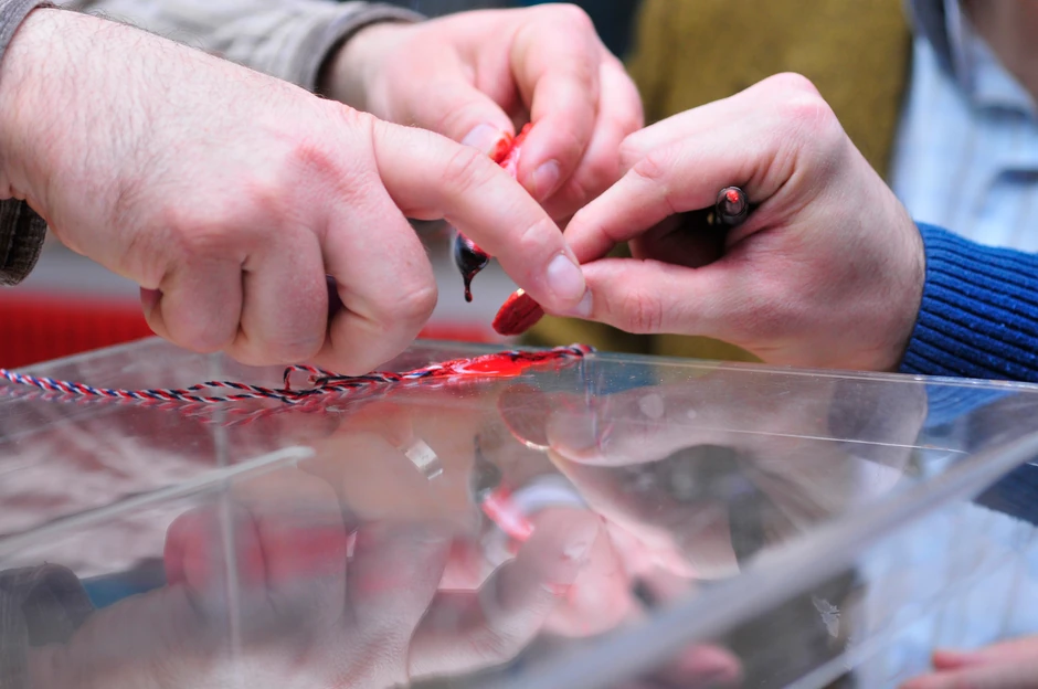 Birališta otvorena do 19 časova