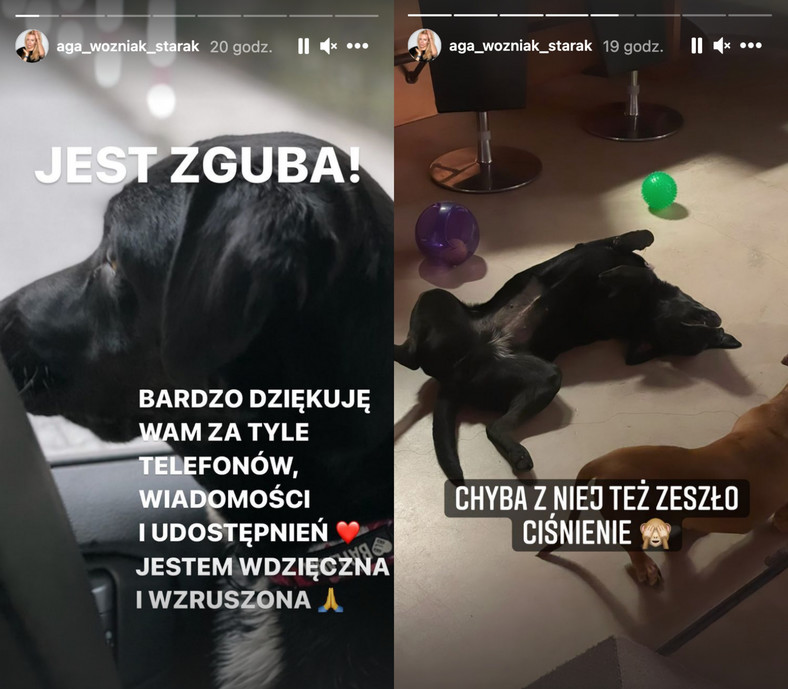 Agnieszka Woźniak-Starak dziękuję za odnalezienie jej psa