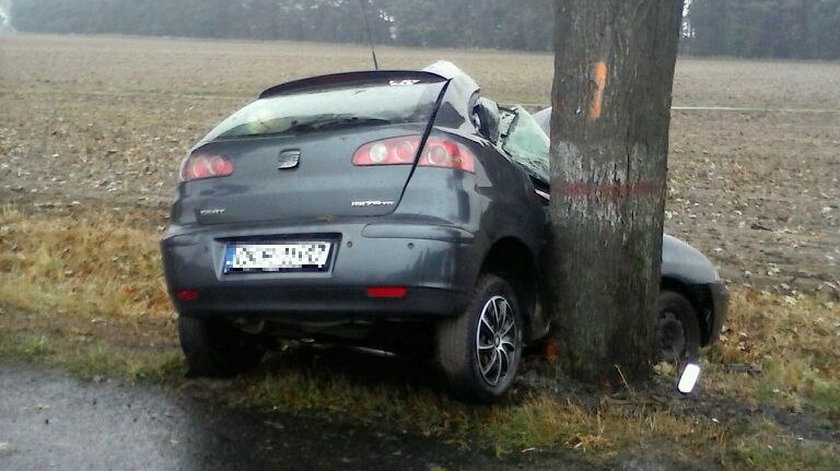 Nie przeżyła uderzenia w drzewo