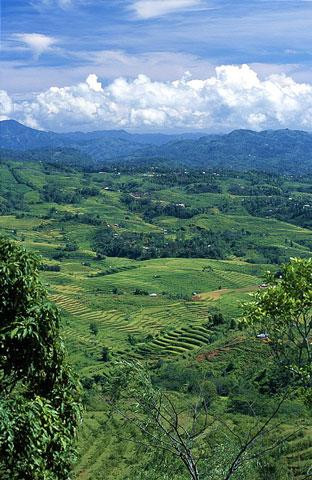 Galeria Indonezja w 5 tygodni. Między Jawą a Flores, obrazek 66