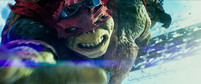 "Wojownicze Żółwie Ninja" - kadr z filmu
