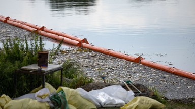 Jak wygląda sytuacja na Odrze rok po katastrofie ekologicznej