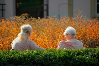 Profilaktyka zdrowotna dla seniorów. Rząd już pracuje nad nowym udogodnieniem
