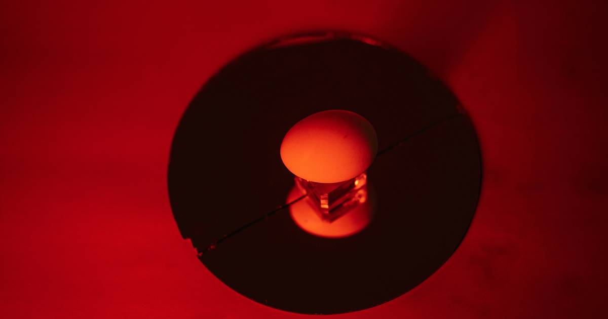 Czy poradziłbyś sobie w teleturnieju? Sprawdź się w naszym quizie