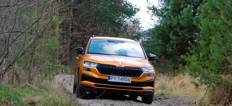 Skoda Karoq 2.0 TSI 190 KM: nieźle jeździ, sporo pali [TEST]