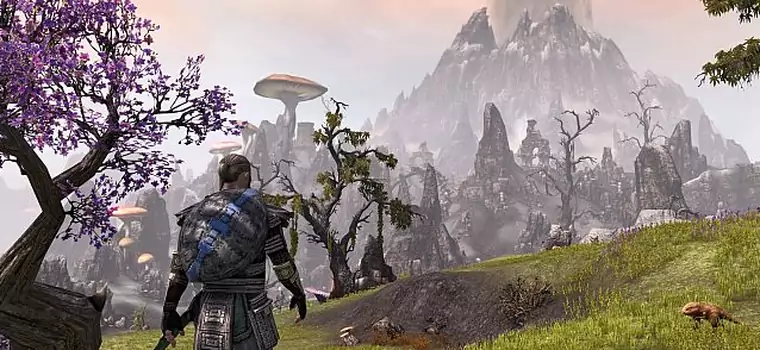 Fala zwolnień uderzyła w twórców The Elder Scrolls Online