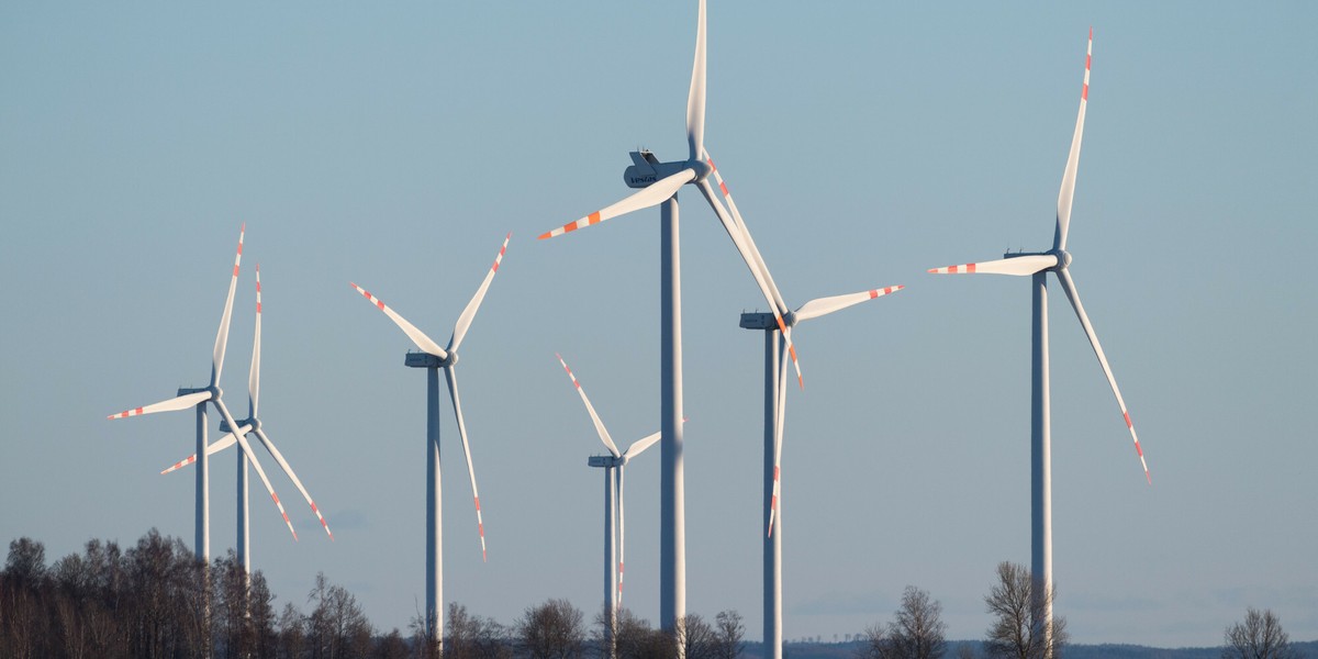 Końcówka tego roku to dobry czas dla elektrowni wiatrowych. 