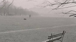 Różne warianty życia. Filmy Titkowa na DVD