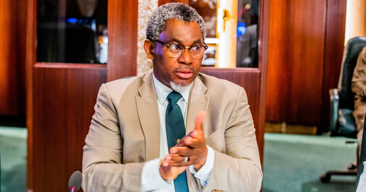 Nigeria endowed with commercial minerals in 500 locations – Minister - Vimarsana News