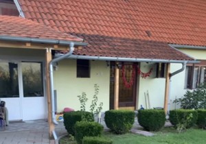 Milan Vasić, imanje na Kosovu