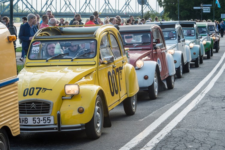 Citroeny 2CV na zlocie w Toruniu