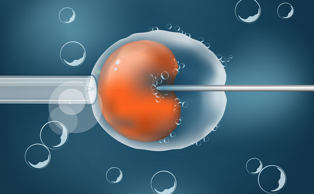 Program dofinansowania in vitro - na czym będzie polegał?