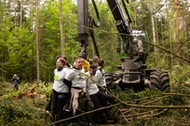 Puszcza Białowieska i protesty ekologów