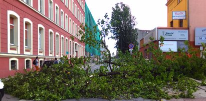 Wichura w Łódzkiem: Drzewa łamały się na auta i ludzi!