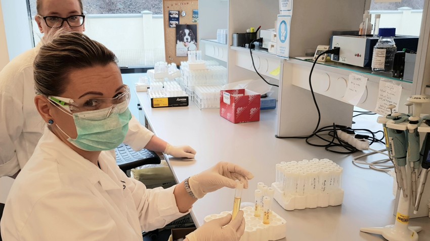 DUNA-LAB medical • Vérvétel, laboratóriumi vizsgálatok Budapest, Szentendre