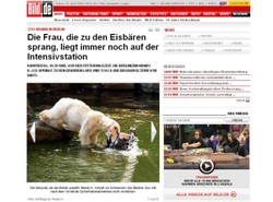 Kobieta wskoczyła w zoo do niedźwiedzi