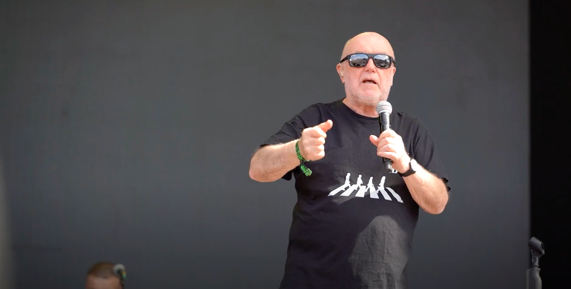 Spevák Peter Lipa na festivale Pohoda.