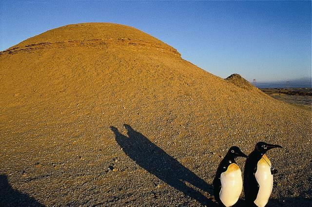 Galeria Joe &amp; Sally - podróżujące pingwiny, obrazek 12