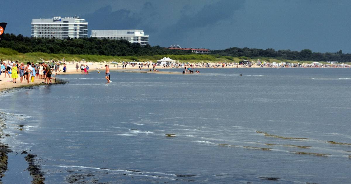 Martwy wieloryb na plaży w Wisełce. Morze wyrzuciło go na brzeg