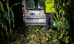 Siemiatycze: Pościg zakończył się w kukurydzy. Złapano kierowców przewożących imigrantów