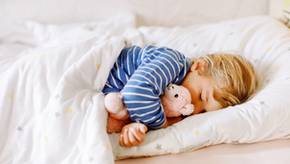 Weich und süß: Beliebte Kuscheltiere im Vergleich