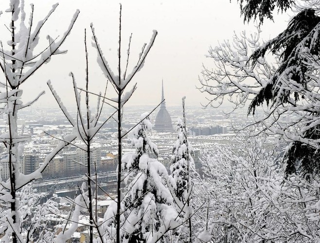 Zima w Turynie