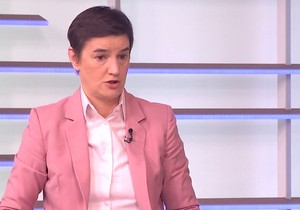 Ana Brnabić kaže da opozicija traži da stranci idu po kućama i ispituju građane