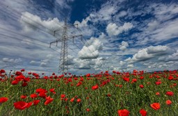 transformacja energetyczna potrzebuje inteligentnych sieci – dlaczego